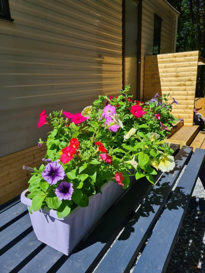 Unique Caravan With Outdoor Space Ballantrae Εξωτερικό φωτογραφία